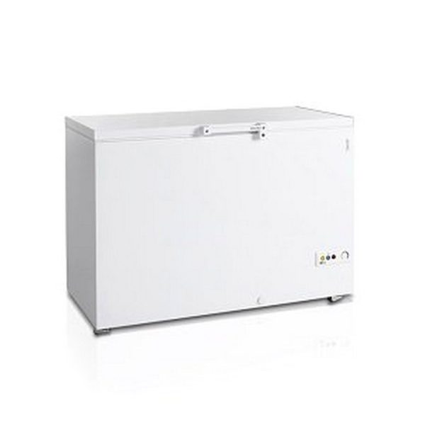Ларь морозильный Tefcold FR405-I