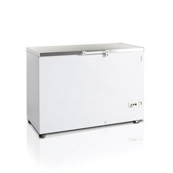 Ларь морозильный Tefcold FR405S-I